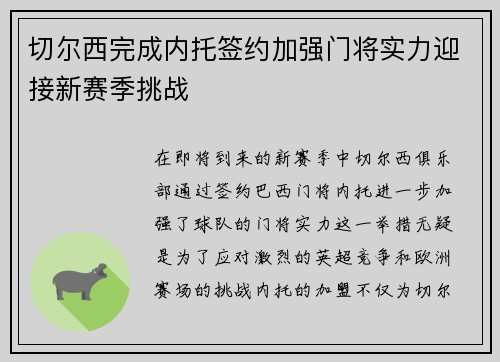 切尔西完成内托签约加强门将实力迎接新赛季挑战